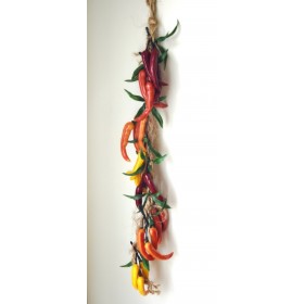 Chili String (Multicolor)